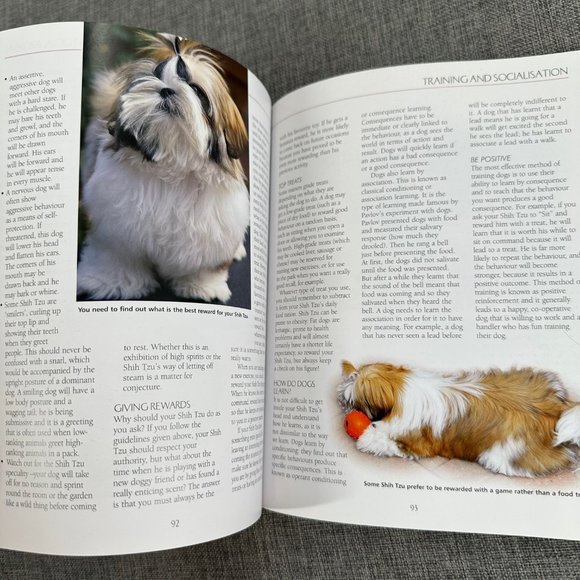 The Shih Tzu: Your Essential Guide From Puppy to Senior Dog Edited By Juliette C - Picture 8 of 12